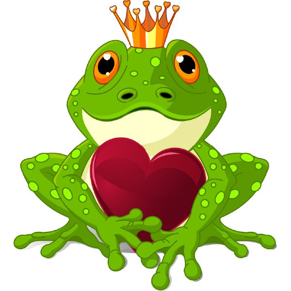 1000+ images about Frogs
