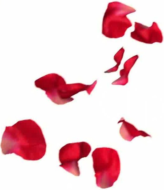 clip art rose petals - photo #17