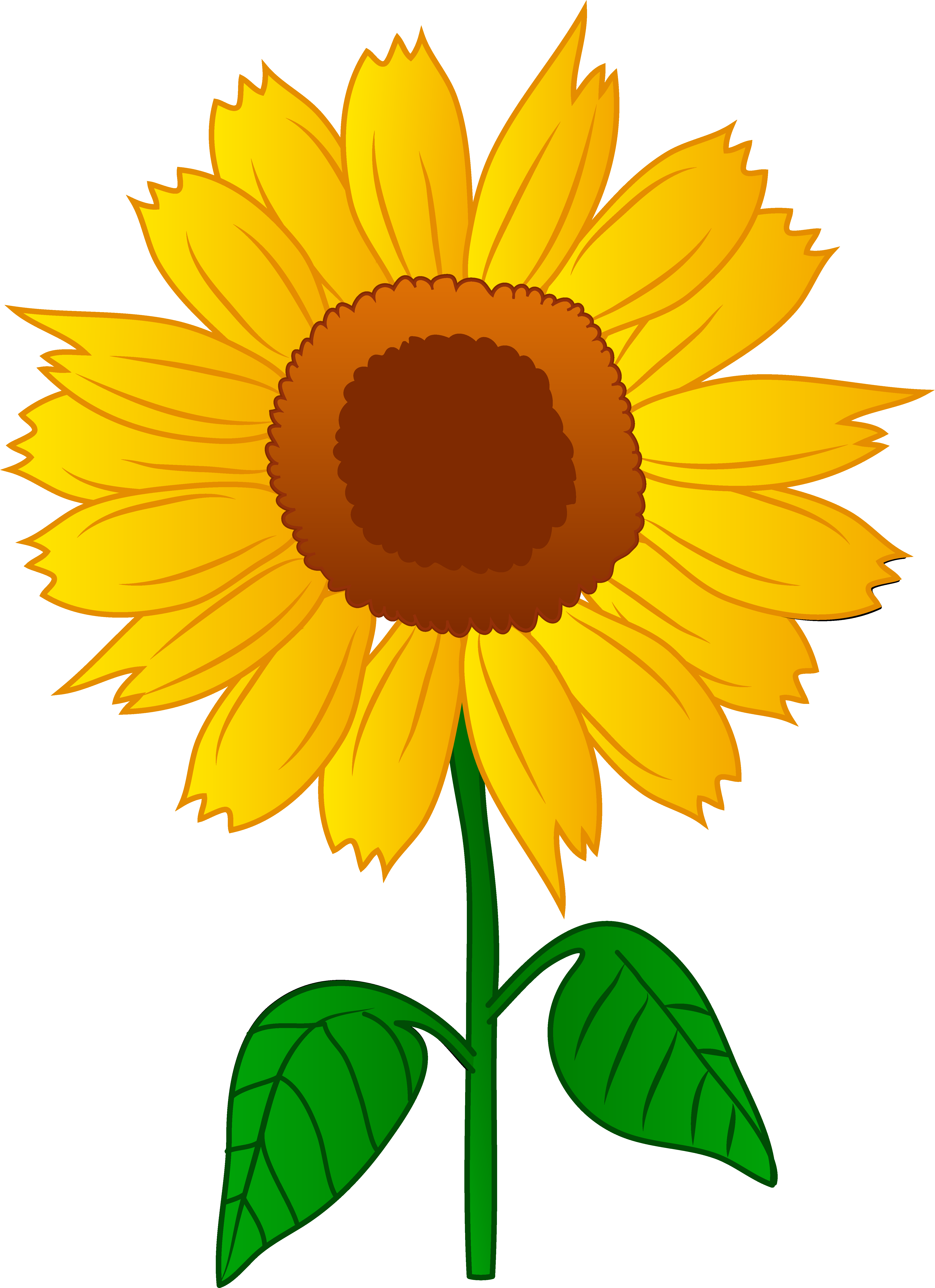 Sunflowers Cartoon ClipArt Best