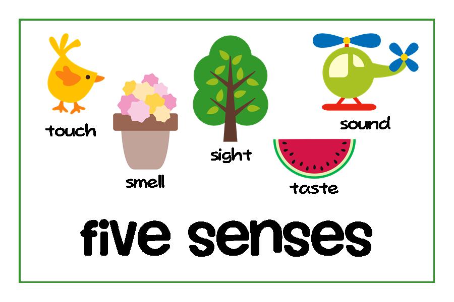 5 Senses Clipart