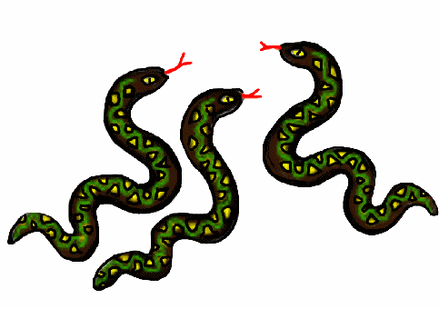 Three Snakes Animation