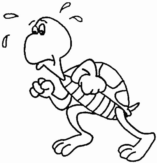 Cartoon turtle coloring pages ~ Coloring pages coloring pages for ...
