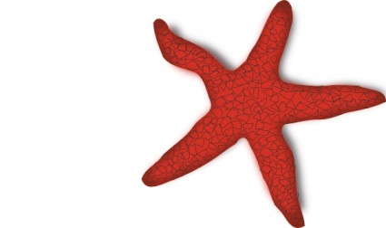 Addon Red Starfish clip art Vector clip art - Free vector for free ...
