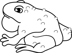 Free Toad Clip Art Image - Bullfrog Coloring Page