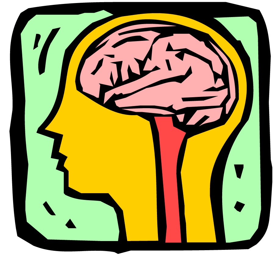 Human Brain Cartoon - ClipArt Best