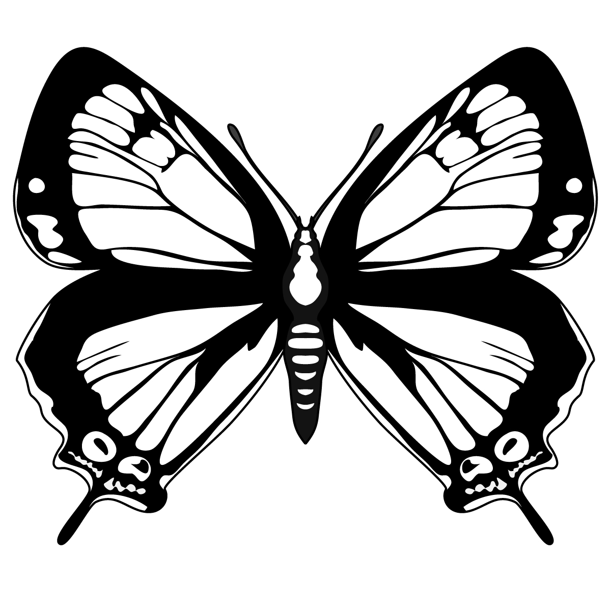 Butterfly Black And White Clip Art Paintings Gallery