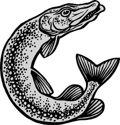 Outline pictures of fish Free vector for free download (about 59 ...