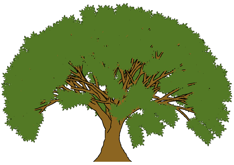 Pin Cartoon Oak Tree Image Search Results