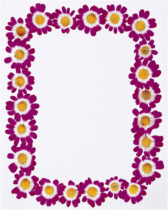free spring clipart lines - photo #32