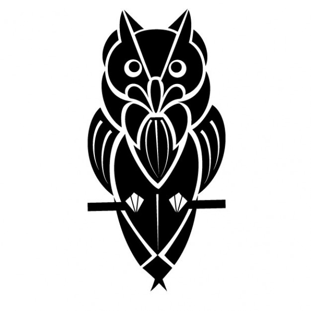 Owl | Photos and Vectors | Free Download