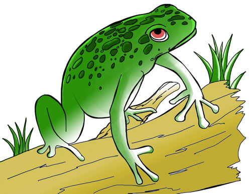 valentine frog clipart - photo #50