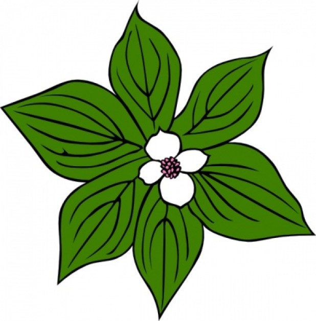 Green Flower clip art | Download free Vector