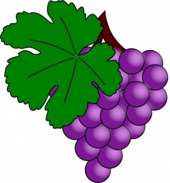 Grape With Vine Leaf clip art | Download free Vector