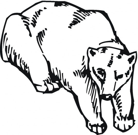 Grizzly Bears coloring pages | Super Coloring