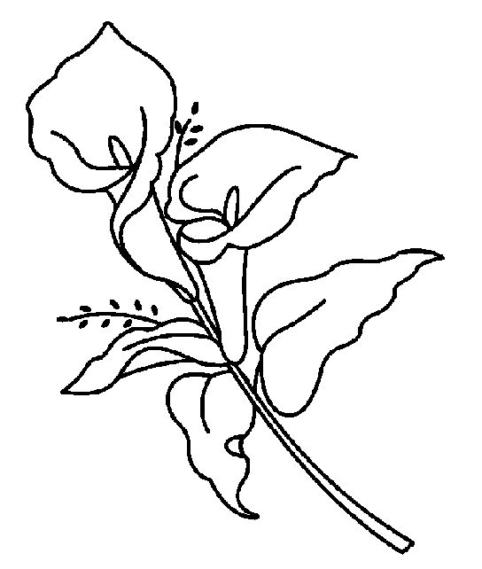 easter lily clipart black and white - photo #4