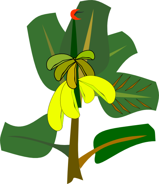 Clipart Of Banana Tree