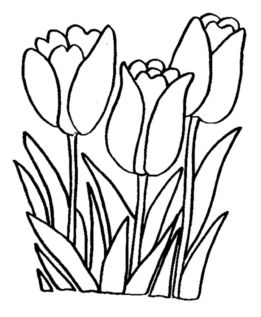 Tulip Coloring Pages Tulips Coloring Page Free Printable Coloring ...