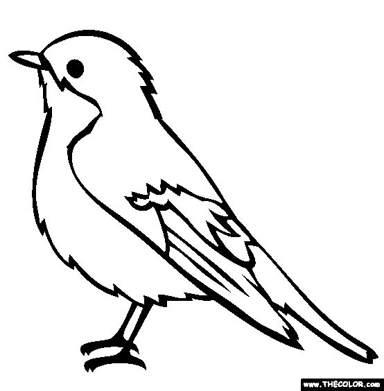 Coloring pages, Coloring sheets and Birds