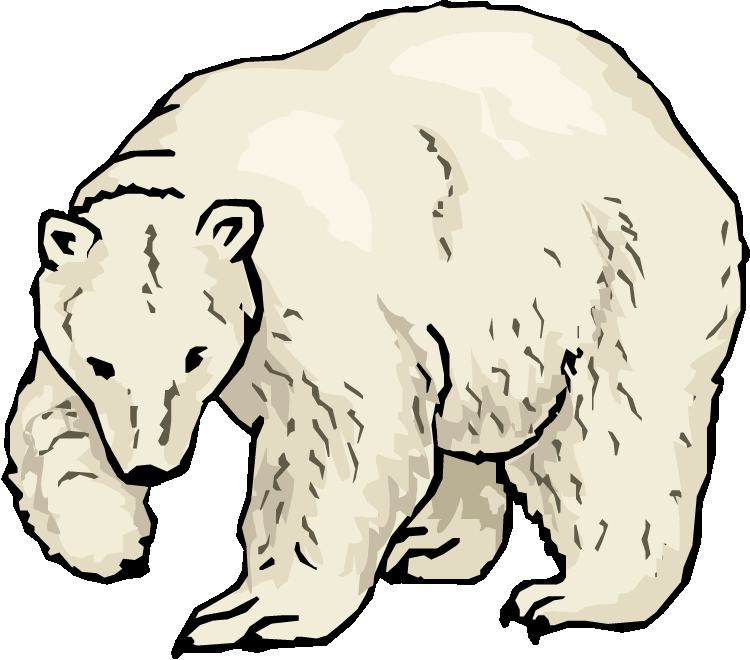 471 views Cartoon Pictures Of Polar Bears