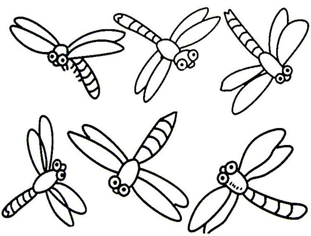 Dragon Fly Drawings