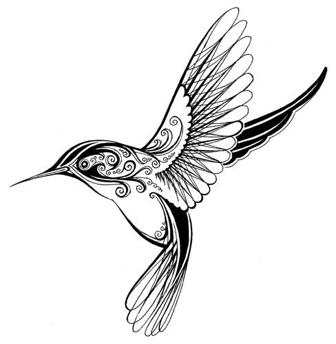 Hummingbird Drawing | Cool Images ...