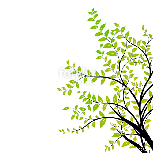 tree branch vector - green and natural floral design element ...