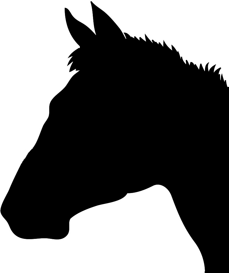 Horse Head Graphic | Free Download Clip Art | Free Clip Art | on ...