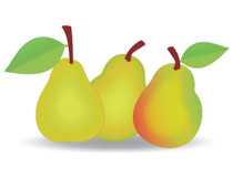 Search Results - Search Results for Pears Pictures - Graphics ...