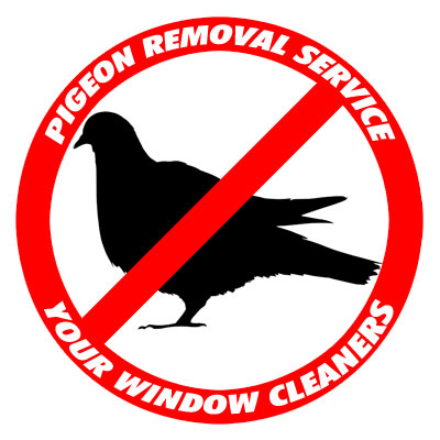 Pigeon Removal - Your window cleaners Phoenix Arizona