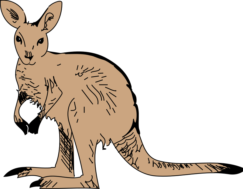 Jumping Kangaroo Clipart - Free Clipart Images