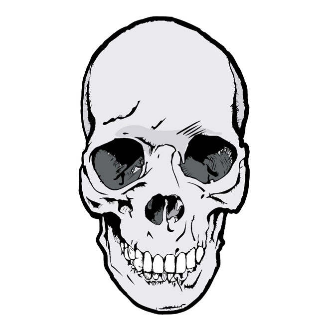 240+ Skull Bones Vectors | Download Free Vector Art & Graphics ...