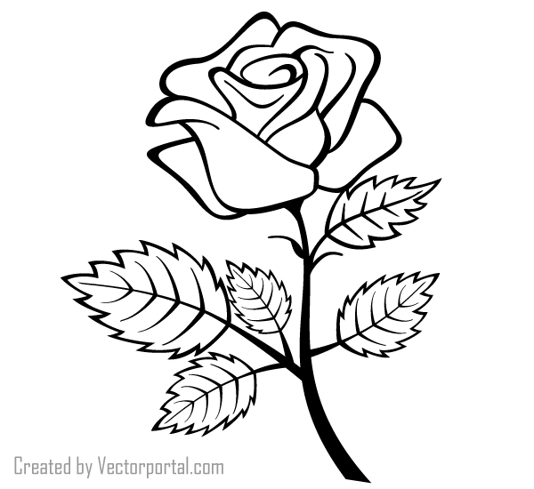 Vector Rose Outline Image | 123Freevectors
