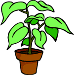 Cartoon Plant Clipart