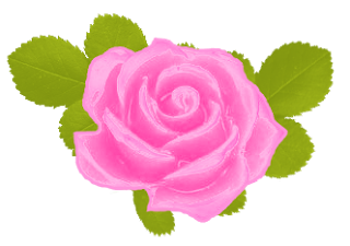 Picture Of Pink Rose | Free Download Clip Art | Free Clip Art | on ...