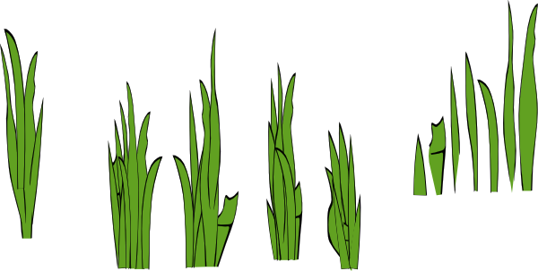 Cartoon Grass - ClipArt Best