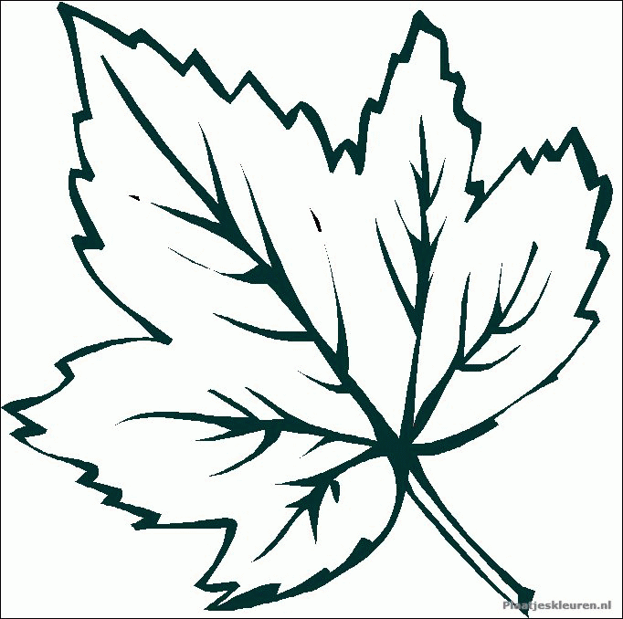 Easy to Color autumn leaves coloring pages - Pipress.net