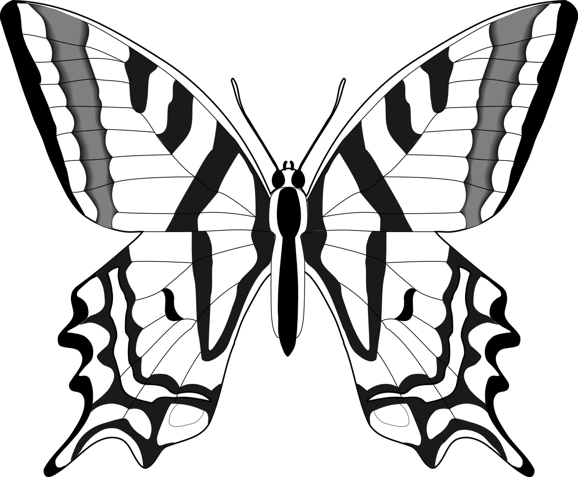 Butterfly Drawings In Pencil Clipart - Free to use Clip Art Resource