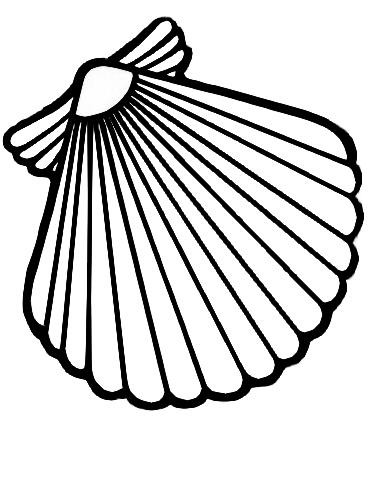Best Photos of Scallop Shell Outline - Scallop Shell Clip Art ...