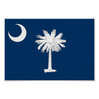 South Carolina Flag Art & Framed Artwork | Zazzle