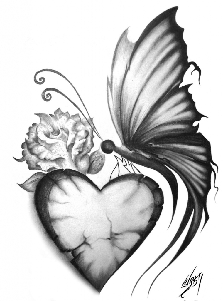 Butterfly Pencil Sketches - Drawing Art Collection