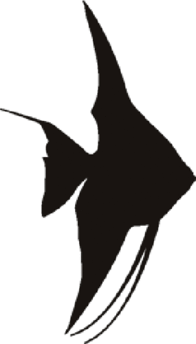 Angel Fish Stencil S Shape Clipart - Free to use Clip Art Resource