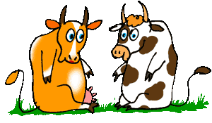 Moving Animal Animations - ClipArt Best