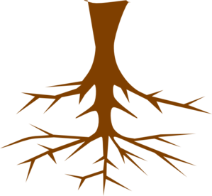Roots clipart