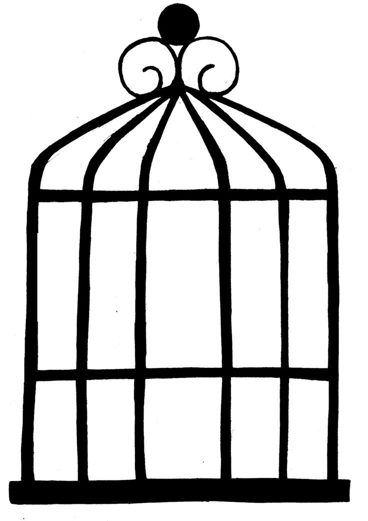 Birdcage Drawing | Bird Cage ...