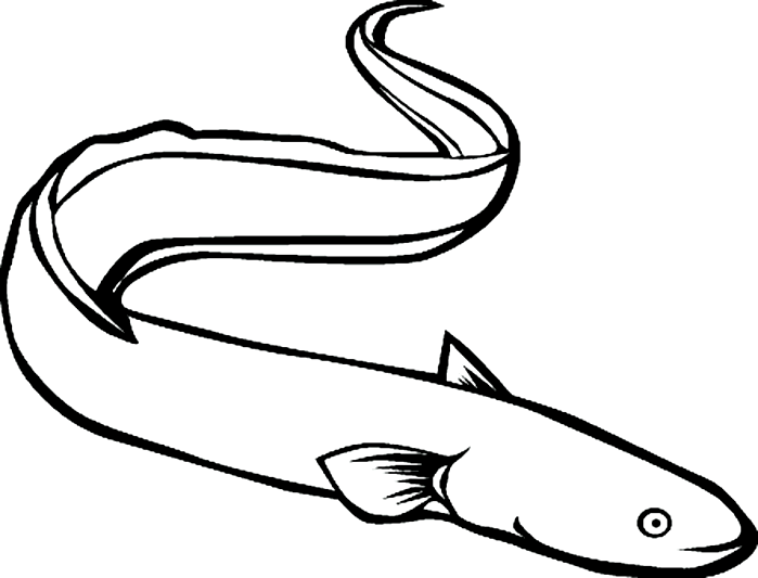 Eel Black And White Clipart