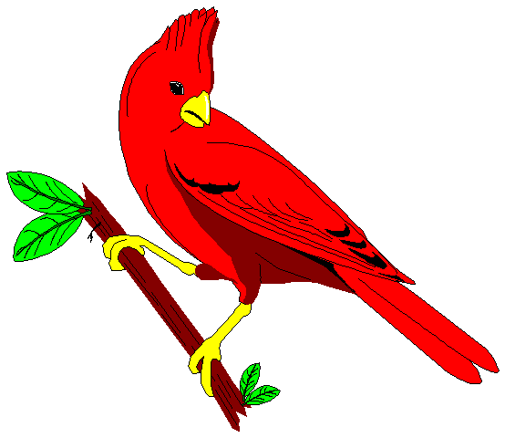 Winter Cardinal Clipart