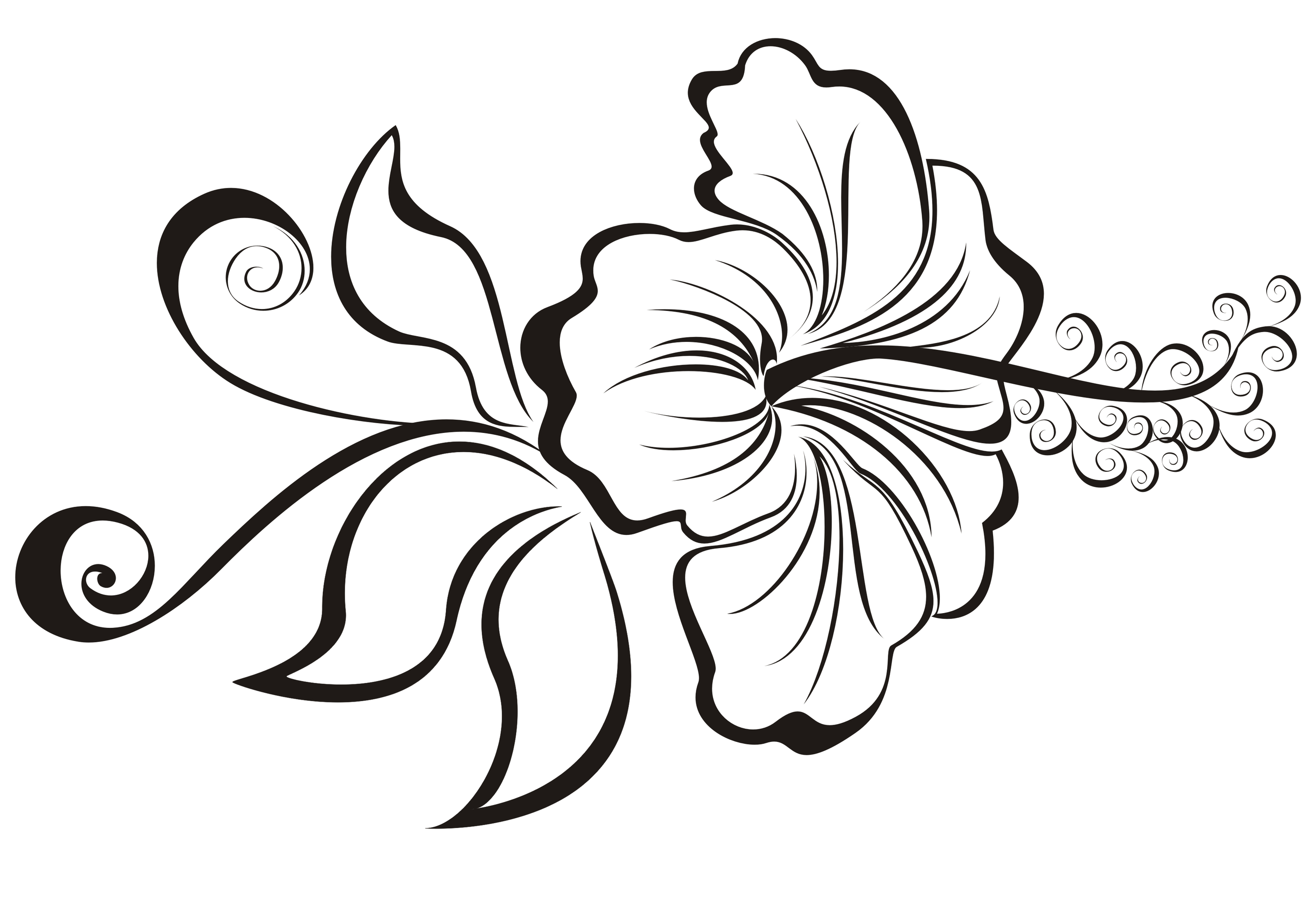 Hibiscus Flower Designs