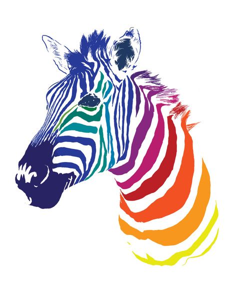 Rainbow zebra, Google and T shirt art