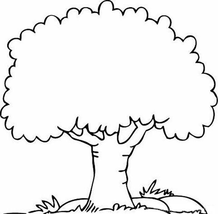 1000+ images about trees coloring pages