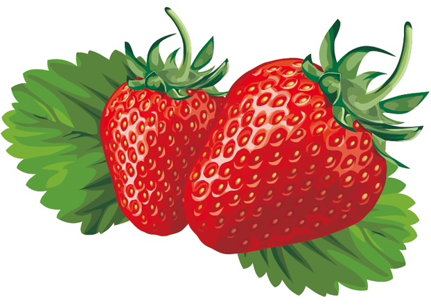 strawberry clipart vector - photo #34